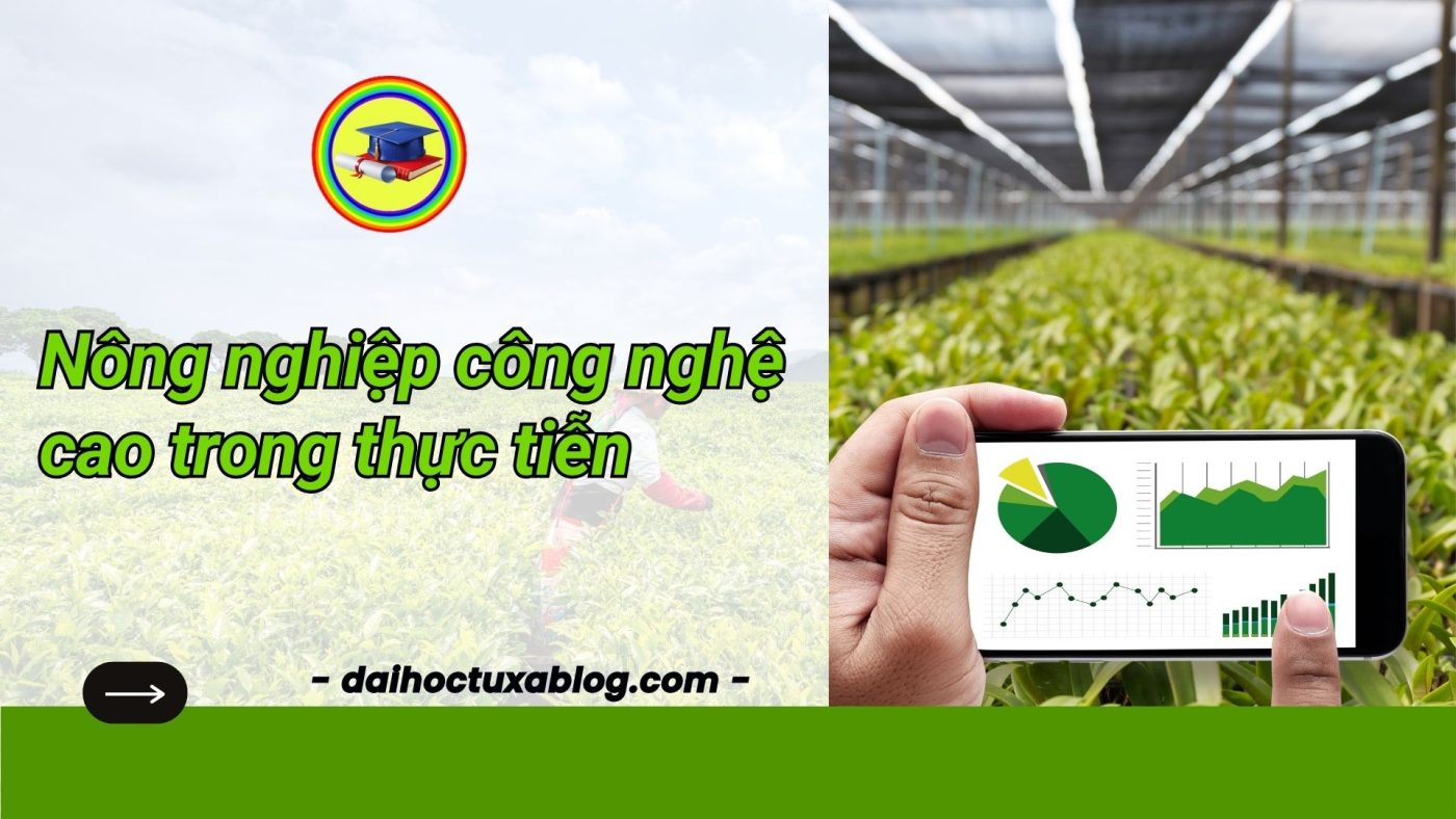 Nông nghiệp công nghệ cao trong thực tiễn