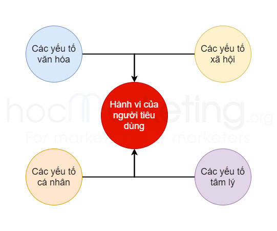 Nhân tố ảnh hưởng đến hành vi mua của người tiêu dùng