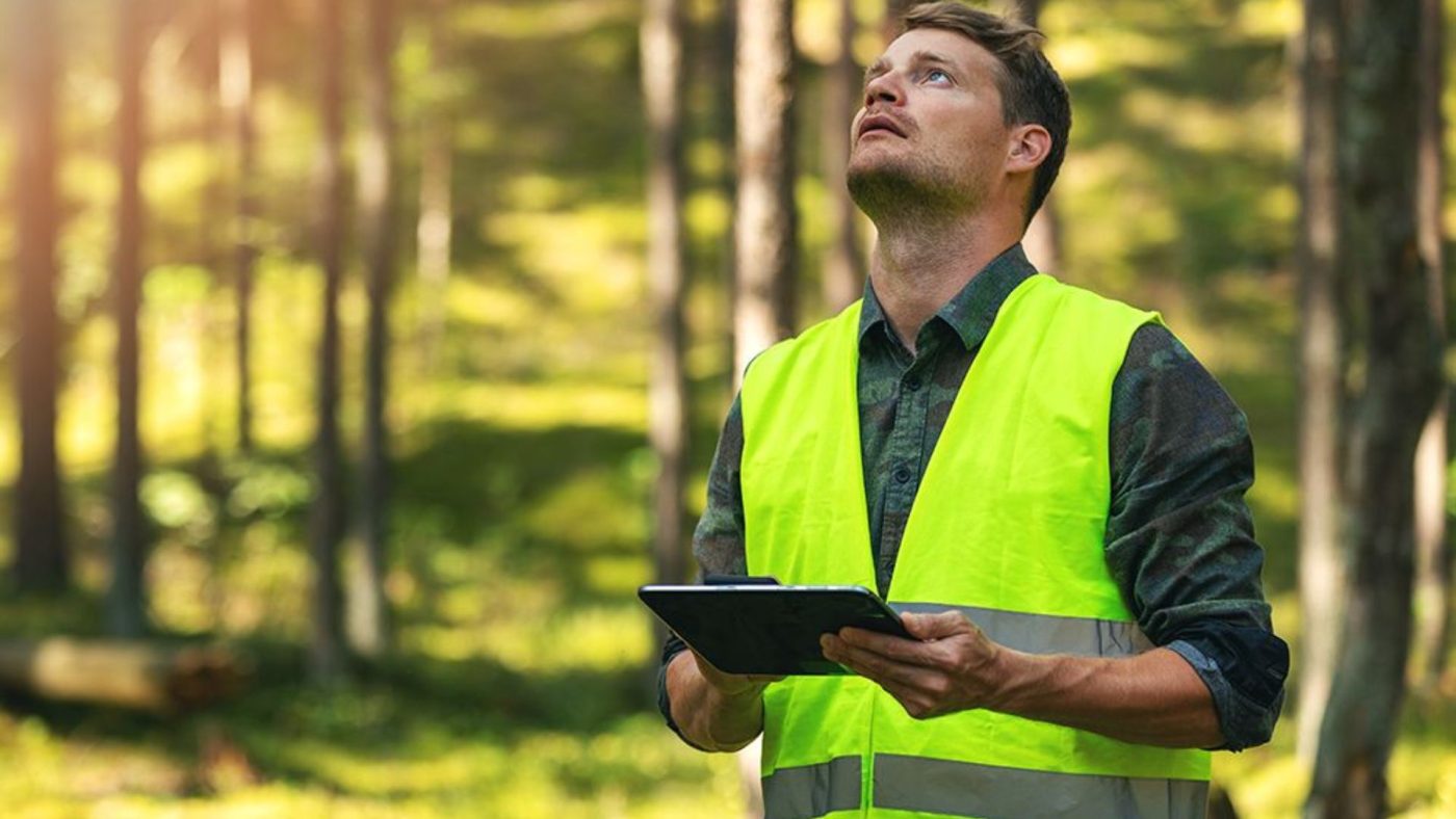 Cơ hội nghề nghiệp