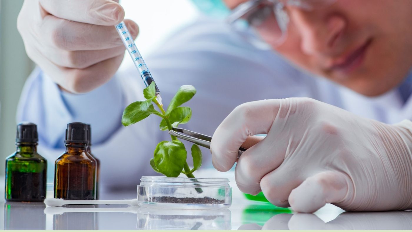 Ngành Công nghệ sinh học là gì?