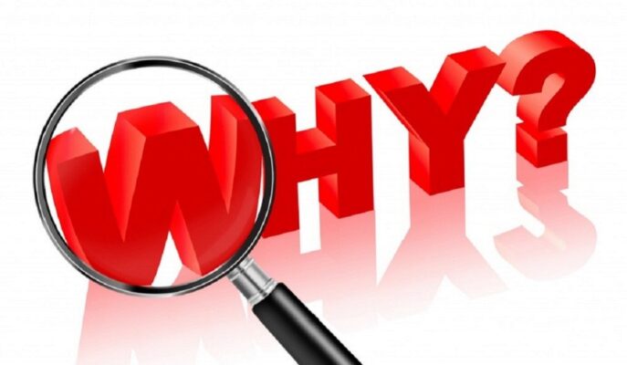 Tại sao nên học ngành Chính trị học?